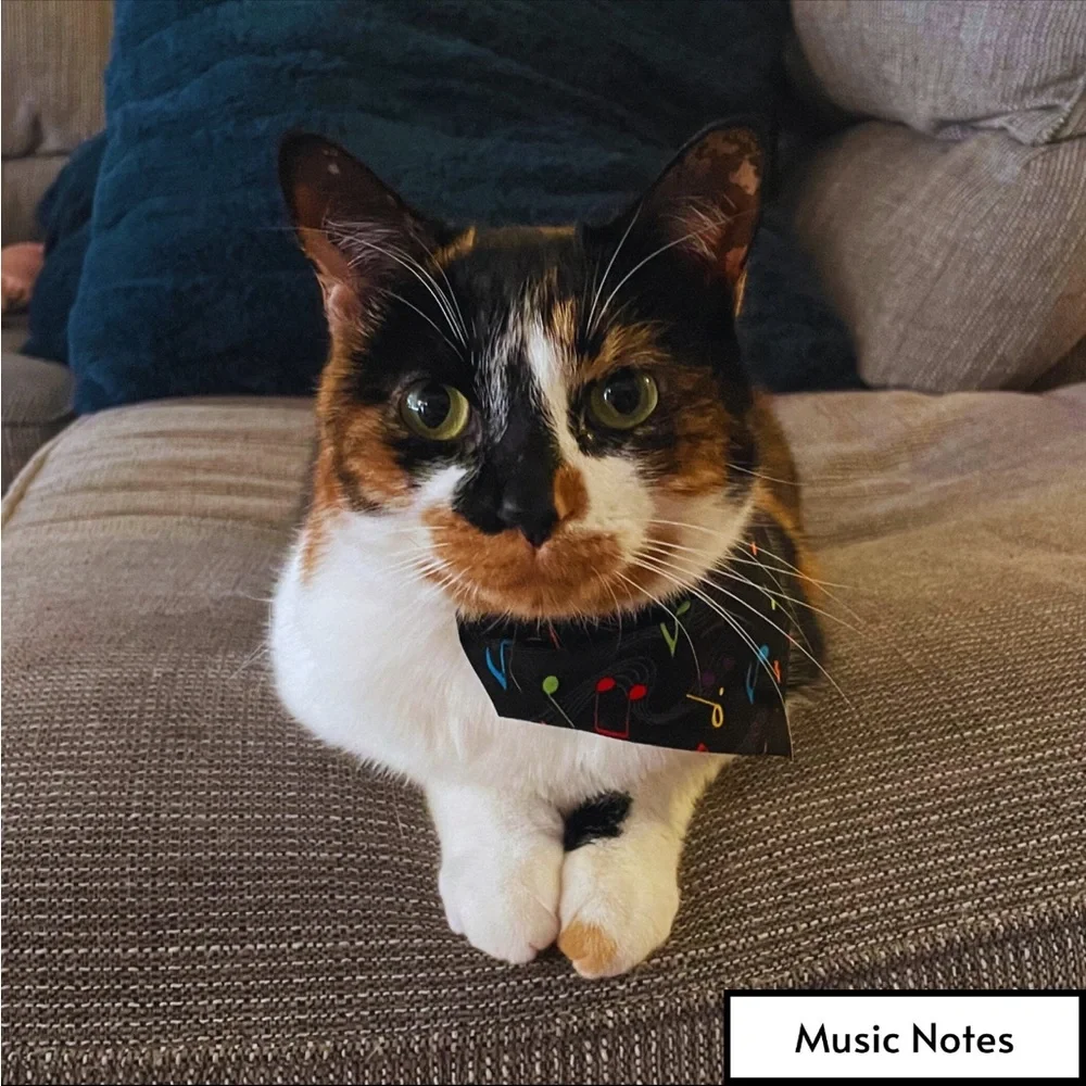 Handmade Cat or Small Dog Bandana NEW